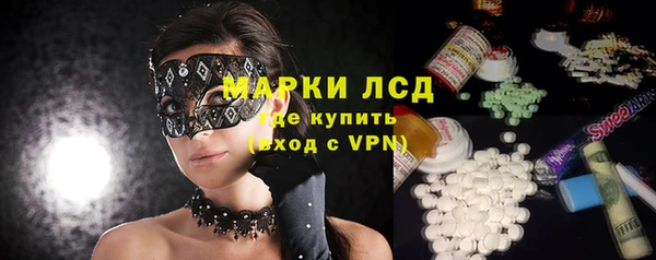ECSTASY Горняк