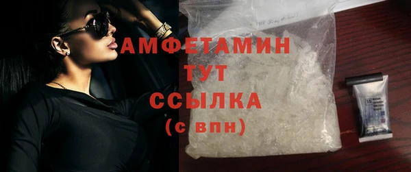 гашик Гусев