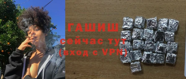 гашик Гусев