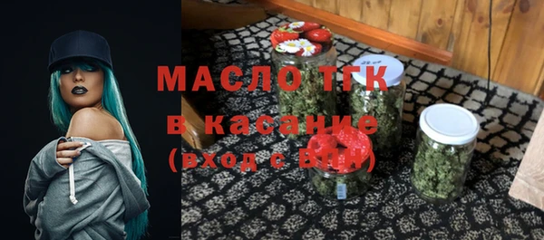 гашик Гусев