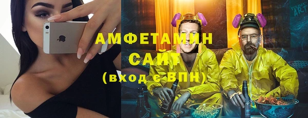 ECSTASY Горняк