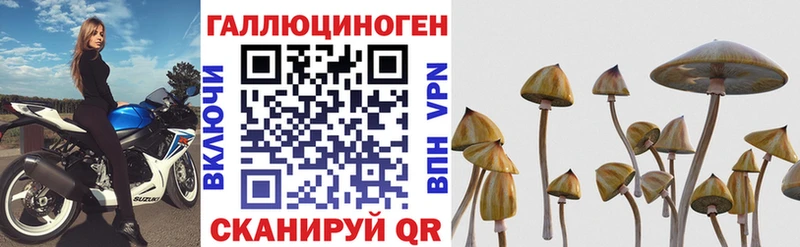 Галлюциногенные грибы Cubensis  Дивногорск 
