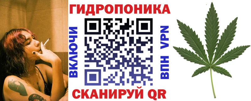 Бошки Шишки план  наркотики  Дивногорск 